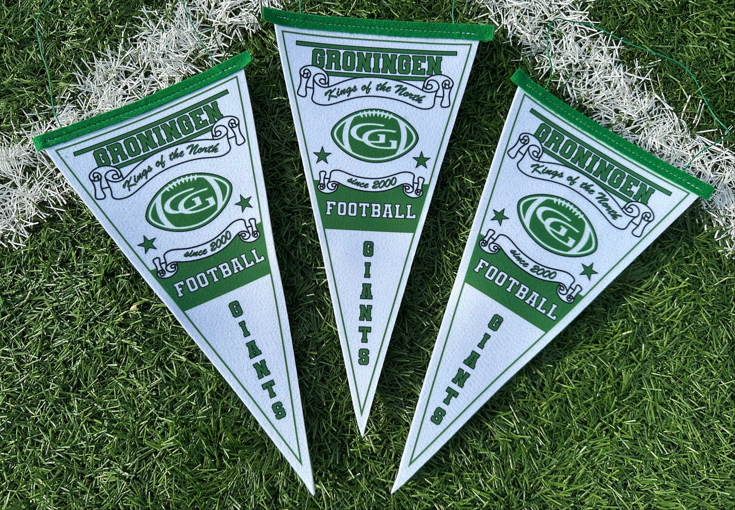 Mini Fan Flag